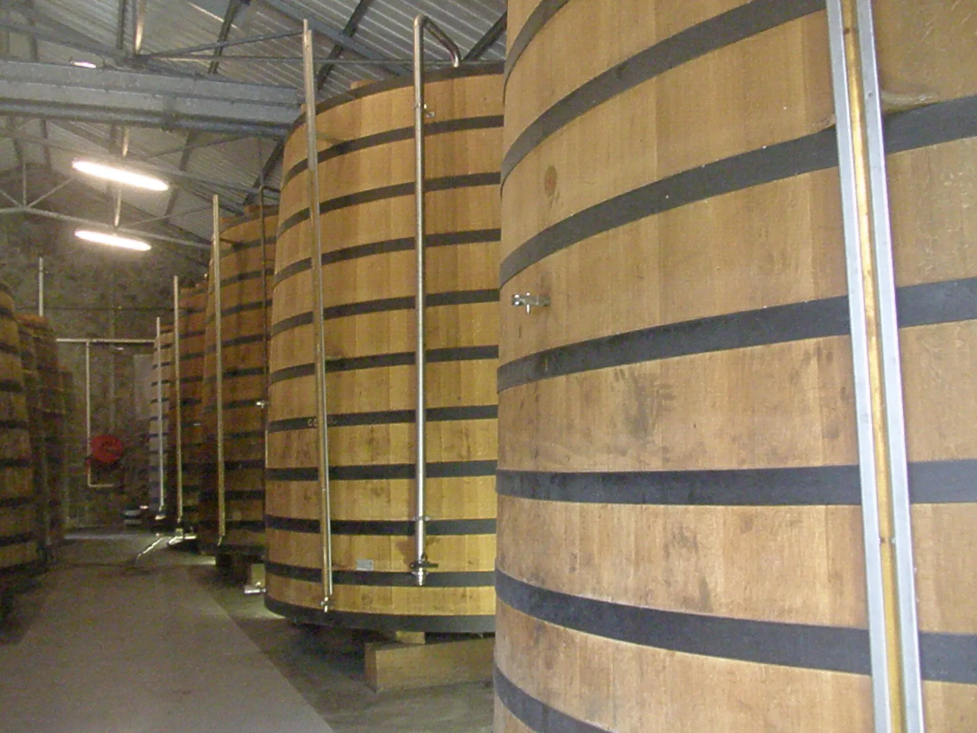 Foudres de chêne alignés dans un chai de vieillissement de rhum en Martinique